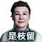 是枝留