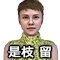 是枝留