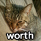 worth